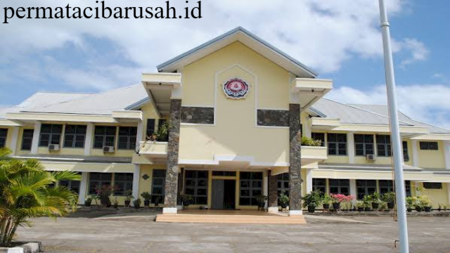 Eksplorasi Mendalam Universitas Musamus Merauke